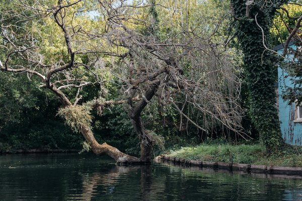 Les épices, un allié minceur souvent sous-estimé